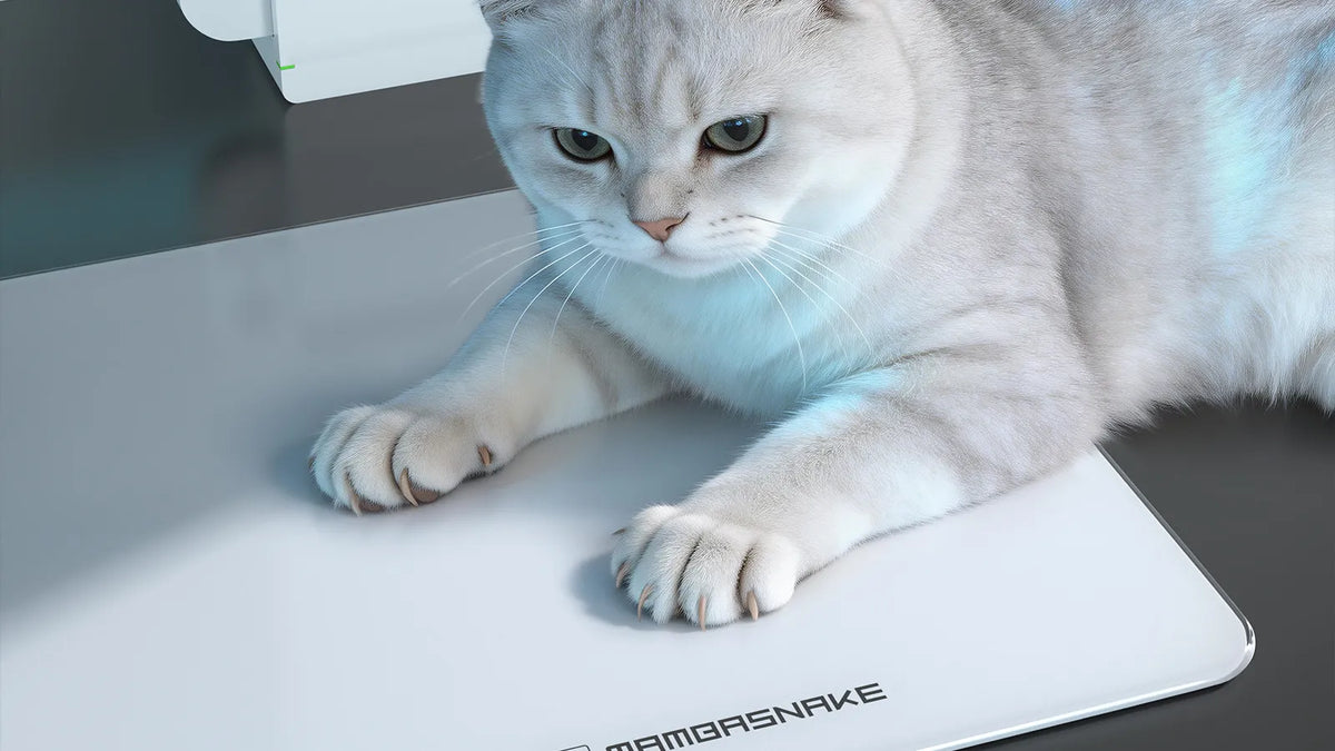 Silver Cat Lying On White Mambasnake Hard Gaming Mouse Pad
