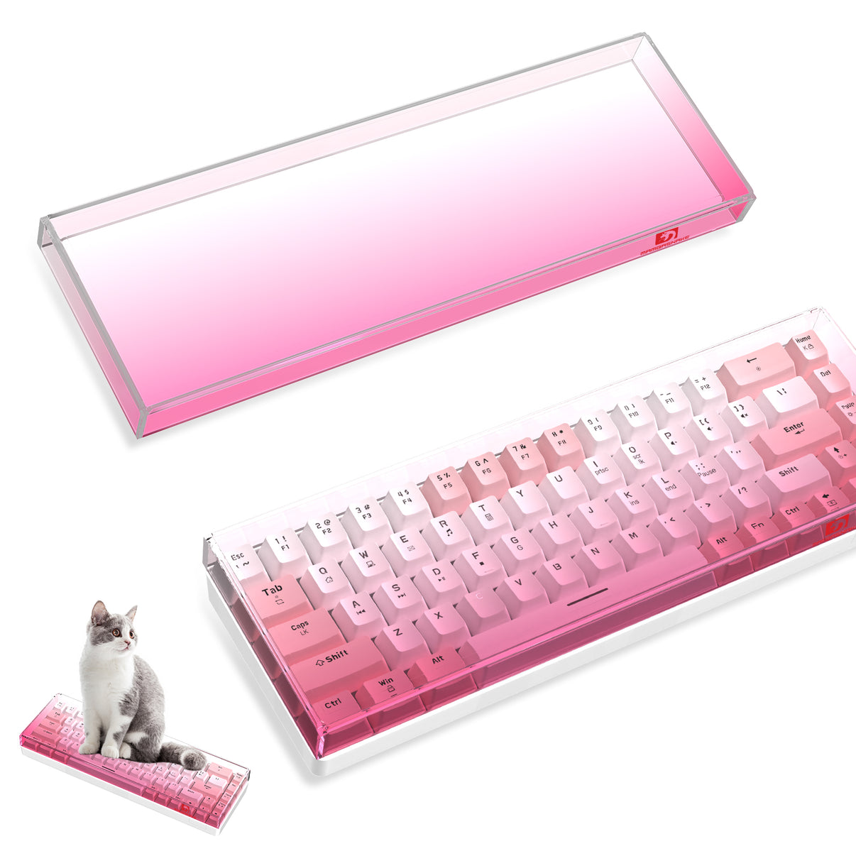 MAMBASNAKE 68 Key Keyboard with cover - cat friendly