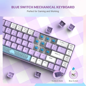 ZIYOULANG T8 60% Gaming Keyboard,68 Keys Compact Mini Wired Mechanical Keyboard with 18 Chroma RGB Backlit,Blue Switch,USB C Coiled Keyboard Cable for PC