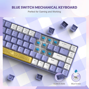 ZIYOULANG T8 60% Gaming Keyboard,68 Keys Compact Mini Wired Mechanical Keyboard with 18 Chroma RGB Backlit,Blue Switch,USB C Coiled Keyboard Cable for PC