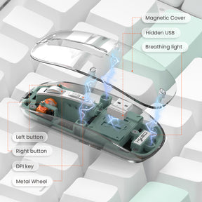 HXSJ Wireless Mouse, Slim Dual Mode Bluetooth 5.1/2.4G, Silent Rechargeable Transparent Mouse 2400 DPI, Battery Level Visible