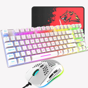 ZIYOU LANG T2 Gaming Keyboard and Mouse, Mechanical Feel Keyboard,RGB 6400 DPI Lightweight Gaming Mouse for Windows PC Gamers