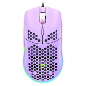 ZIYOU LANG M1 Wired Lightweight Gaming Mouse,6 RGB Backlit with 7 Buttons Programmable, Adjustable 6400DPI ,Ultralight Honeycomb Shell