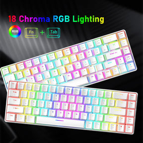 ZIYOU LANG T8 60% Mechanical Mini Gaming Keyboard Compact Type C Wired 68 Keys LED Backlit USB Waterproof Keyboard 18 Chroma RGB