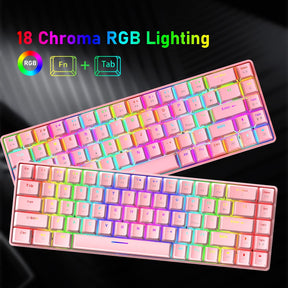 ZIYOU LANG T8 60% Mechanical Mini Gaming Keyboard Compact Type C Wired 68 Keys LED Backlit USB Waterproof Keyboard 18 Chroma RGB