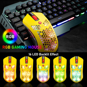 ZIYOU LANG X2 Wireless/ Wired Gaming Mouse,16 RGB Backlit Ultralight Honeycomb Shell with Programmable Driver,Rechargeable 800mA,12000 DPI