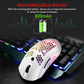 ZIYOU LANG X2 Wireless/ Wired Gaming Mouse,16 RGB Backlit Ultralight Honeycomb Shell with Programmable Driver,Rechargeable 800mA,12000 DPI