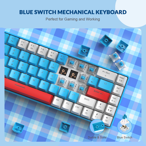 ZIYOULANG T8 60% Gaming Keyboard,68 Keys Compact Mini Wired Mechanical Keyboard with 18 Chroma RGB Backlit,Blue Switch,USB C Coiled Keyboard Cable for PC