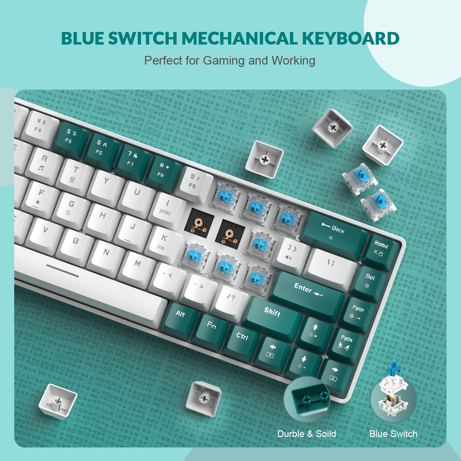 ZIYOULANG T8 60% Gaming Keyboard,68 Keys Compact Mini Wired Mechanical Keyboard with 18 Chroma RGB Backlit,Blue Switch,USB C Coiled Keyboard Cable for PC