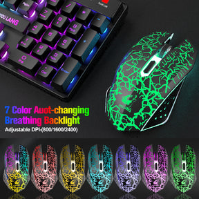 ZIYOU LANG T87 Wireless Gaming Keyboard and Mouse Combo with 87 Key Rainbow LED Backlight Rechargeable 3800mAh Battery Mechanical Feel Anti-ghosting Ergonomic Waterproof RGB Mute Mice for Computer PC Gamer (Black)