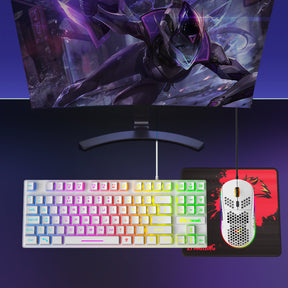 ZIYOU LANG T2 Gaming Keyboard and Mouse, Mechanical Feel Keyboard,RGB 6400 DPI Lightweight Gaming Mouse for Windows PC Gamers