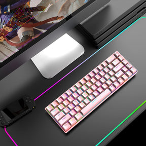 ZIYOU LANG T8 60% Mechanical Mini Gaming Keyboard Compact Type C Wired 68 Keys LED Backlit USB Waterproof Keyboard 18 Chroma RGB