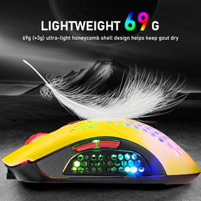 ZIYOU LANG X2 Wireless/ Wired Gaming Mouse,16 RGB Backlit Ultralight Honeycomb Shell with Programmable Driver,Rechargeable 800mA,12000 DPI