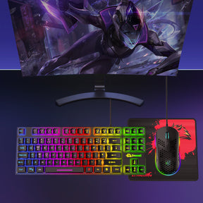 ZIYOU LANG T2 Gaming Keyboard and Mouse, Mechanical Feel Keyboard,RGB 6400 DPI Lightweight Gaming Mouse for Windows PC Gamers