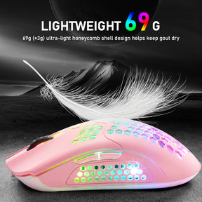 ZIYOU LANG X2 Wireless/ Wired Gaming Mouse,16 RGB Backlit Ultralight Honeycomb Shell with Programmable Driver,Rechargeable 800mA,12000 DPI