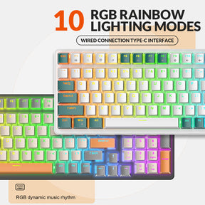 ZIYOU LANG K3 Mechanical Keyboard Ultra-Compact Mini 98-Key Wired Type C USB Water-resistant RGB Illuminated Clicky Linear Switch